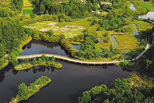 Vegetation and ecosystem after mine restoration