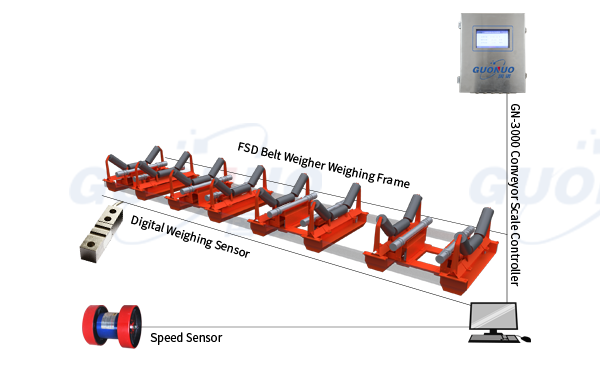 FSD high-precision electronic belt scale