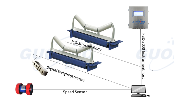 ICS-30-2T-4C electronic belt scale