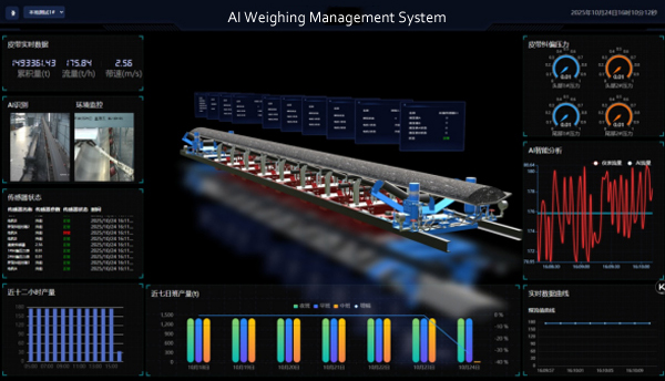 FSD High Precision Electronic Belt Scale