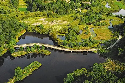 Vegetation and ecosystem after mine restoration